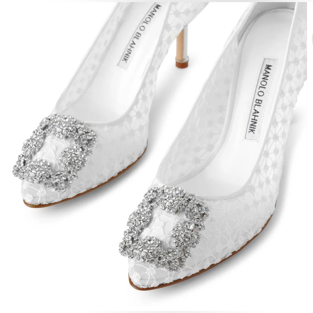 Manolo Blahnik Hangisi 90  Pumps